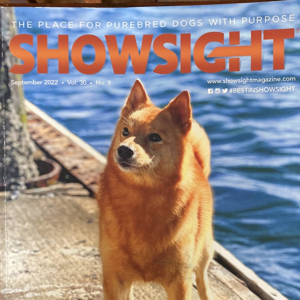 Showsight Magazine - Picture 3 of 6